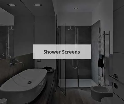 Shower Screen